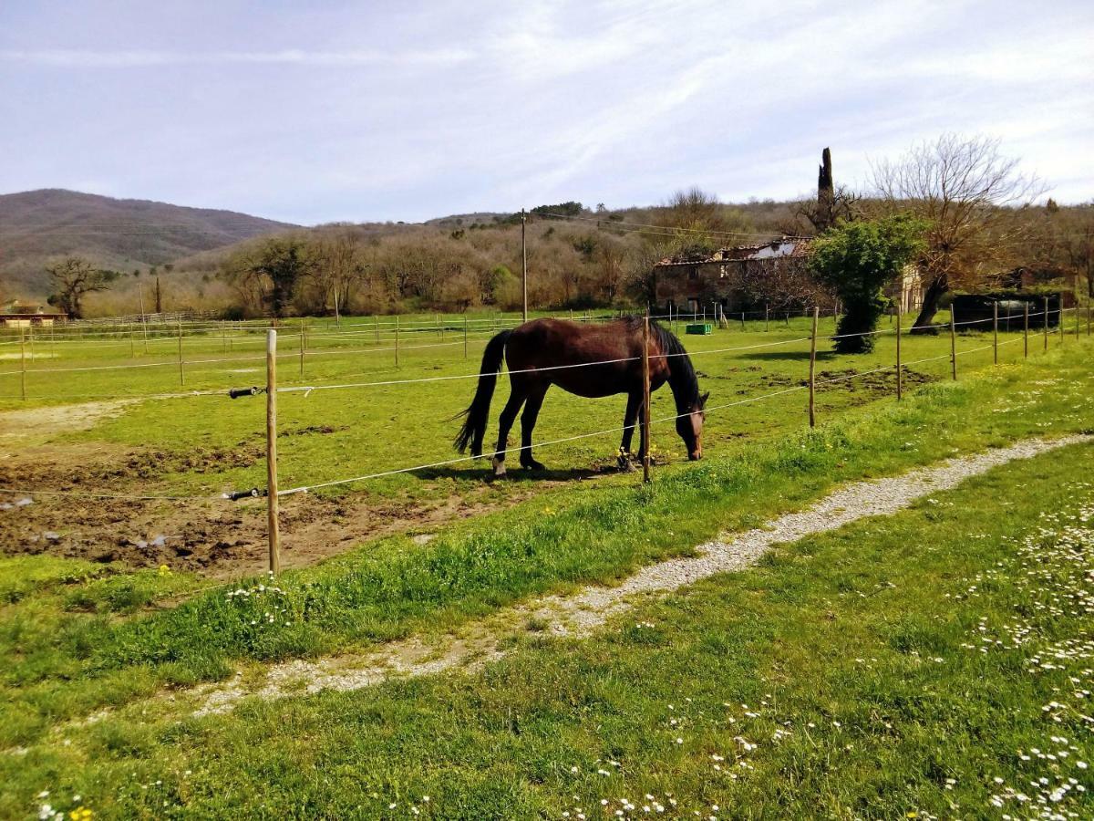 Antica Dimora Figli Di Bocco Appartement Castiglion Fibocchi Buitenkant foto